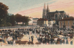 CHOLET. - Le Marché Aux Boeufs - Cholet