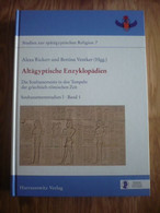 Altagyptische Enzyklopadien: Die Soubassements In Den Tempeln Der Griechisch-romischen Zeit, Soubassementstudien 1, Band - Archeology