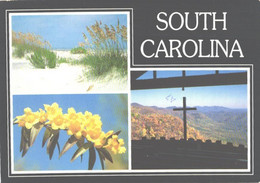 USA:South Carolina, Different Views - Myrtle Beach