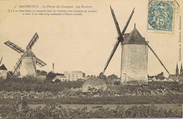 44 - Machecoul (Loire-Atlantique) -  La Plaine Des Chaumes - Les Moulins - Machecoul