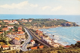 Cartolina - Castiglioncello ( Livorno ) - Panorama - 1970 - Livorno