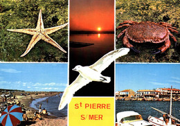 SAINT PIERRE SUR MER La Plage, Le Rocher, Lavallière, Le Port Brossolette ( étoile De Mer, Mouette) (recto-verso)11 Aude - Other & Unclassified