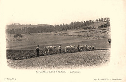 Aveyron * Causse De Sauveterre * Laboureurs * Travail Aux Champs * Labour Agriculture * Pub Au Verso Roquefort Société - Autres & Non Classés