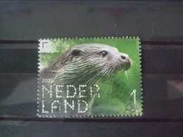 Nederland Beleef De Natuur Gebruikt 3918 Otter - Used Stamps