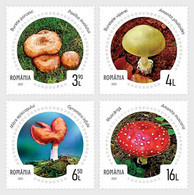 Romania 2022 / Mushrooms / Set 4 Stamps - Unused Stamps