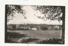 Cp ,79 ,CHAMPDENIERS SAINT DENIS , Vue Générale,  Vierge - Champdeniers Saint Denis