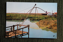 Delcampe - BEAUVOIR SUR MER - Polder, Pêche Au Carrelet - Beauvoir Sur Mer