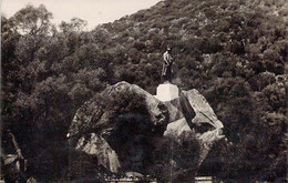 CPA Corse - Ajaccio - Statue De Napoléon à La Grotte - 2168 - A. Tomasi - Rocher - Foret - Ajaccio