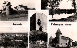 Souvenir D'Anneyron (Drôme) Multivues (Château De Saleton...) Editions Combier, Carte N° 22 Non Circulée - Souvenir De...