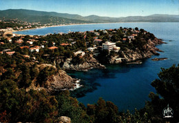 Cavalaire Sur Mer Le Cap Au Fond Croix Valmer     CPM Ou CPSM - Cavalaire-sur-Mer