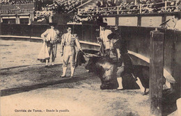 CPA - Corrida De Toros - Dande La Puntilla - Toreador - Arêne - Taureau - Corridas