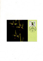 Berlin Allemagne Orchidéé Carte Maximum 18/11/1984 1ier Jour - Gebraucht