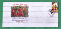 INDIA 2016 Inde Indien - GUNTUR MIRCHI - Special Postmark Cover - Guntur 08.02.2016 - Red Chilli , Chillies, Vegetables - Groenten