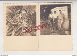 Au Plus Rapide Côte D'Ivoire Le Baobab Géant De Bouaké 1954 - Africa