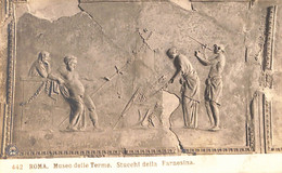 22- 7-1589 - ROMA MUSEO DELLE TERME. STUCCHI DELLA FARNESINA - Autres & Non Classés