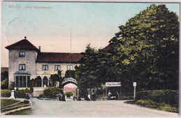 Sachsen-Anhalt - Wörlitz Hotel Eichenkranz Farb. AK Gelaufen 1910 - Other & Unclassified