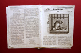 Liuzzi Osservazione Sistema Omeopatico Omeopatia L'Album Roma Anno IV 1837 - Zonder Classificatie