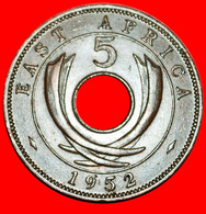 * GREAT BRITAIN (1949-1952): EAST AFRICA ★ 5 CENTS 1952! GEORGE VI (1937-1952) LOW START ★ NO RESERVE! - Colonia Británica
