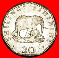 * 2 SOLD ELEPHANT WITH CALF: TANZANIA ★ 20 SHILLINGS 1992! MWINYI (1985-1995)LOW START ★ NO RESERVE! - Tanzanie