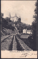 +++ CPA - Vallée De La Meuse - Château De VEVE // - Celles