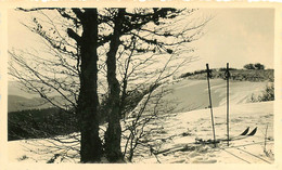 020722 - PHOTO 1937 - 88 Crête De La Schluct Au Tanet , Le Petit Ballon - Ski Montagne Neige - Otros Municipios
