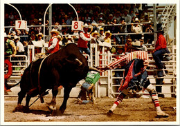 Canada Calgary Exhibition And Stampede Brahma Bull Riding - Calgary