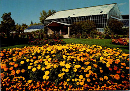 Canada Calgary Zoo Marigolds And The Tropical Aviary - Calgary