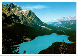 Canada Banff National Park Peyto Lake - Banff