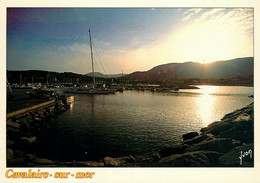 CPSM Cavalaire Sur Mer-Le Port La Nuit      L1650 - Cavalaire-sur-Mer