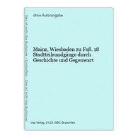 Mainz, Wiesbaden Zu Fuß. 18 Stadtteilrundgänge Durch Geschichte Und Gegenwart - Hesse