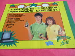 3éme Festival De La CHANSON Pour Enfants / Avec David Et Sonia/ PERRIER Zeste/CABOURG / 1987            PART322 - Programmes
