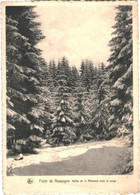 CPSM - Carte Postale - Belgique - Nassogne Forêt Vallée De La Wassoye Sous La Neige 1961VM51998 - Nassogne