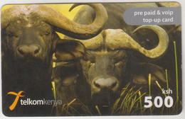 KENYA - 2 Buffaloes, Telkom Kenya, Expire Date 14/08/2011, 500 Kshs, Used Please Check Scan - Kenia