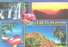 Reunion Island:Sunset, Mountains, Waterfalls - Reunión