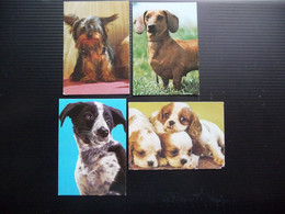(6)  Chiens * Dogs * Perros * See Scans. - Dogs