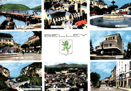 BELLEY  Et Ses Environs  Lac St Champ, Place Des Terreaux, Point De La Balme, Hôpital,       (recto-verso) 01 Ain - Belley