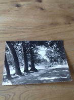 56/ LOUVECIENNES DOMAINE DE VOISINS UN COIN DU PARC - Louveciennes