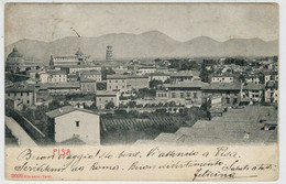 PISA     PANORAMA   1905           2 SCAN  (VIAGGIATA) - Pisa