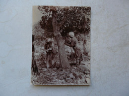 PHOTO ANCIENNE ALGERIE ( 9 X 11 Cm) - SCENE ANIMEE ( Travail Du Chêne-liège) - Professions