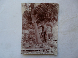 PHOTO ANCIENNE ALGERIE ( 9 X 11 Cm) - SCENE ANIMEE ( Travail Du Chêne-liège) - Métiers