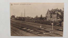 Maldegem. De Duimpjesvilla En De Statie. - Maldegem