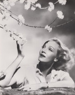 Marlene Dietrich Large 10x8 Photo Print London Film Movie Archive - Photographs