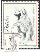 POLAND - Maximum Card - Dog 2000 - POWA - Maximumkaarten