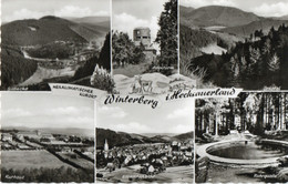 HEILKLIMATISCHER KURORT - WINTERBERG HOCHSAUERLAND - REAL PHOTO - F.P. - STORIA POSTALE - Winterberg