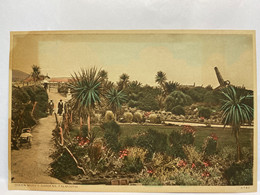 Queen Mary’s Garden., Falmouth, United Kingdom Postcard - Falmouth