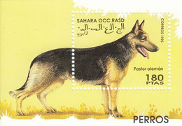 SAHARA Dogs 1,unused - Dogs