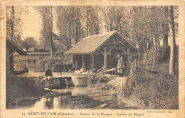 Saint-Sylvain      14        Source De La Muance Et Lavoir Du Béquet  (voir Scan) - Autres & Non Classés