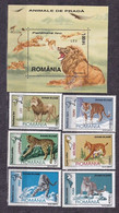 ROMANIA. 2000/Big Cats.. 6v+MS/mintNH. - Ongebruikt