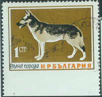 83889a - BULGARIA - STAMP  - USED Stamps With One Side ND IMPERF!! RARE! Dogs - Dogs