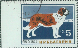 83889b - BULGARIA - STAMP  - USED Stamps With One Side ND IMPERF!! RARE! Dogs - Dogs